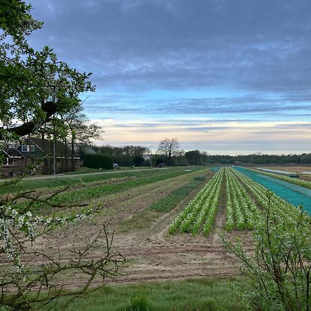 Lowlander Bnb Heemskerk Dış mekan fotoğraf
