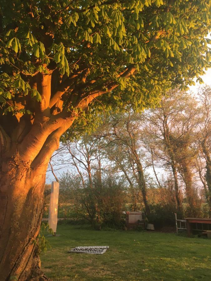 Lowlander Bnb Heemskerk Dış mekan fotoğraf