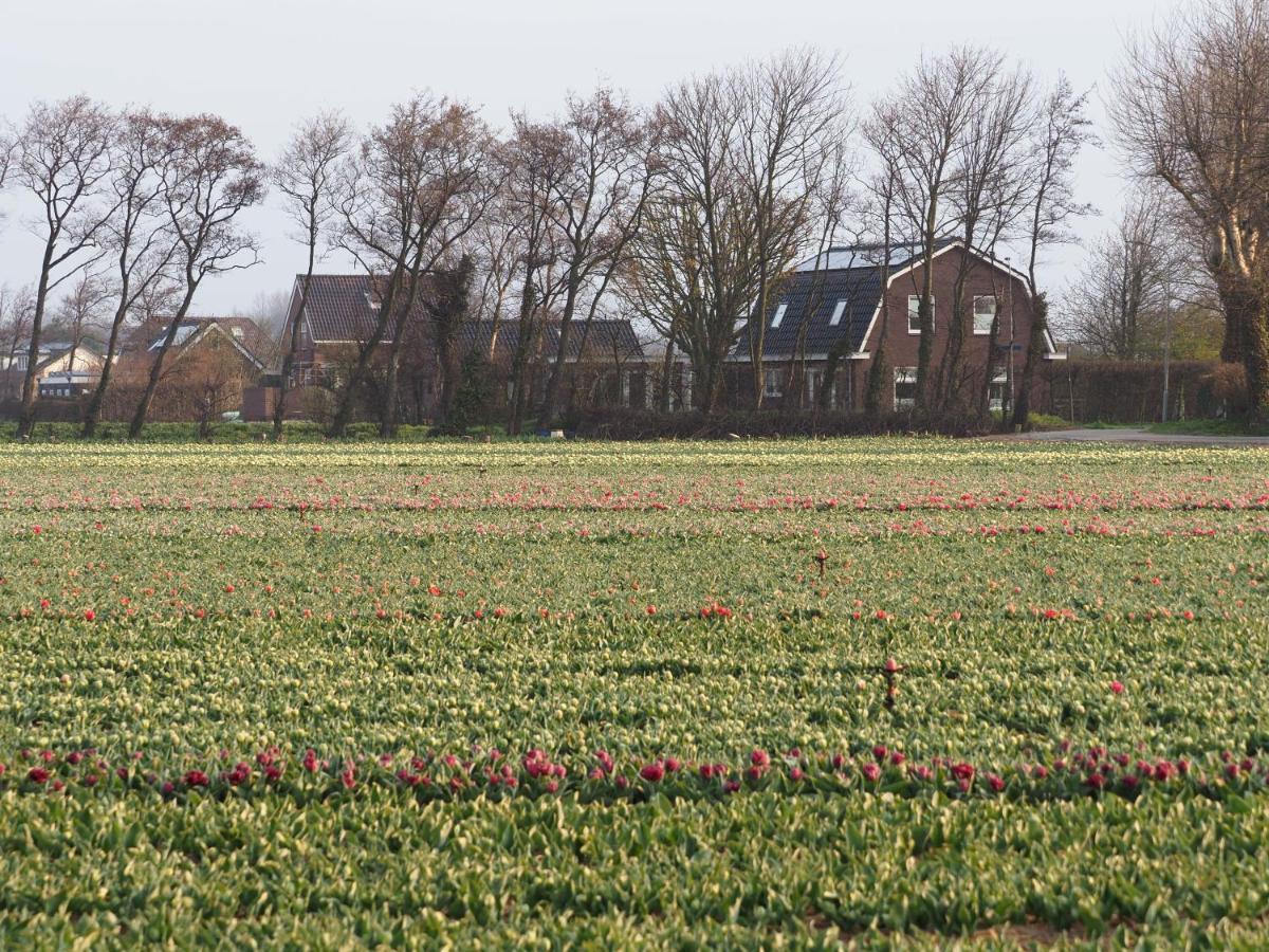 Lowlander Bnb Heemskerk Dış mekan fotoğraf