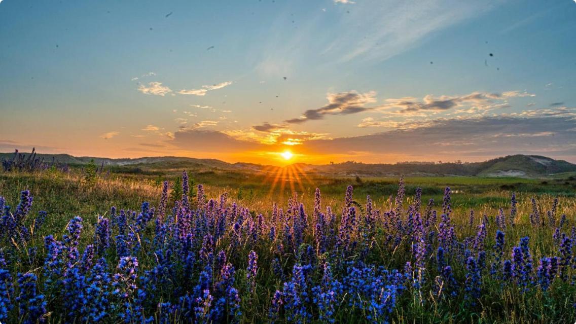 Lowlander Bnb Heemskerk Dış mekan fotoğraf